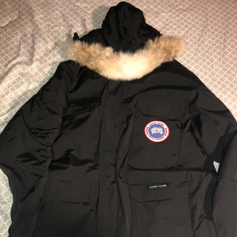 Canadian goose